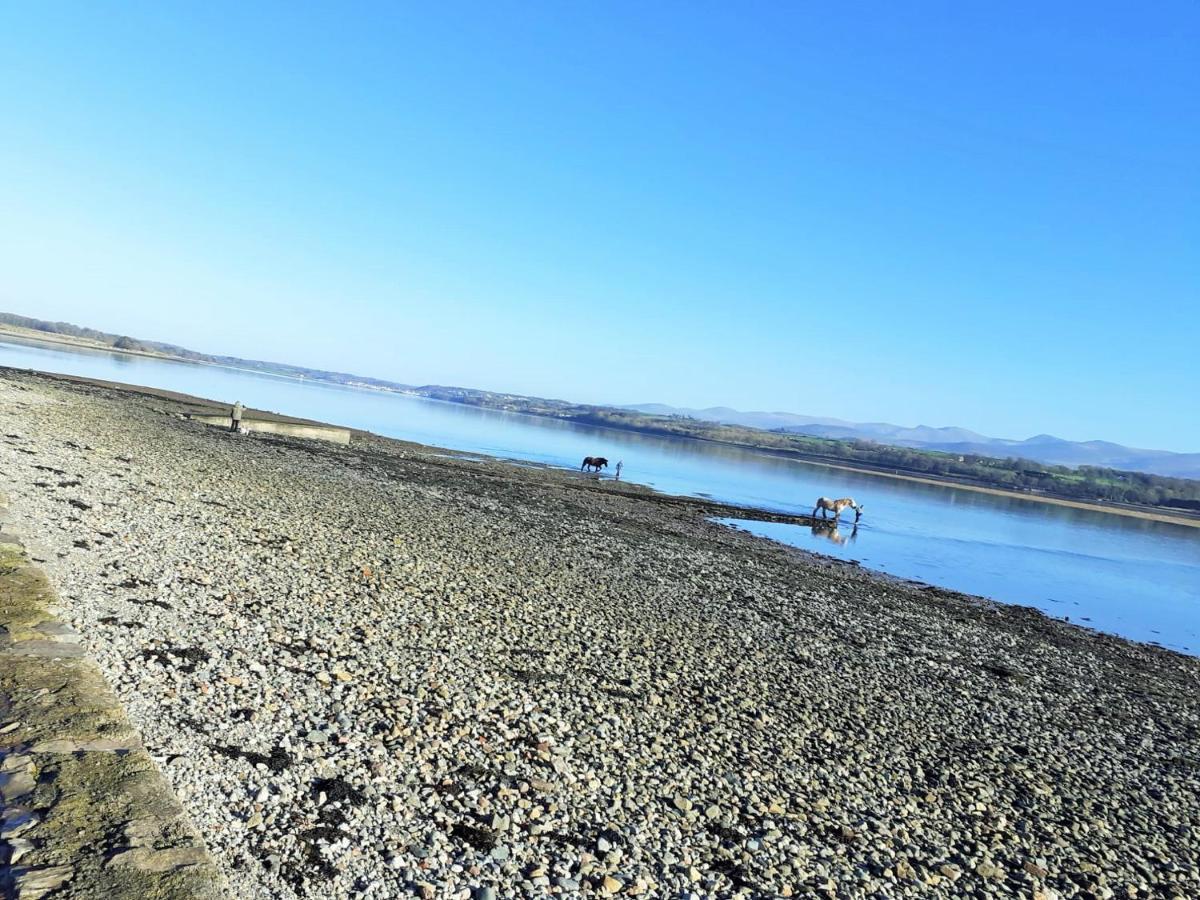 Gwenallt Dwyran Dış mekan fotoğraf